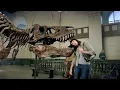 2011 Alyson Hannigan Head and Shoulders Dinosaur Commercial