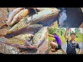 Download Lagu AWAL PAGI CEK JARING IKAN DENGAN HASIL YANG MEMUASKAN //