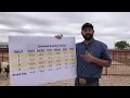 Evaluating Dorper rams with estimated breeding values