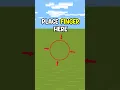 Play With Ayush in Minecraft