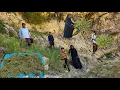 Download Lagu 🌿 Nomadic Life | Gathering Medicinal Plants and Amazing Cures for Cold Days ❄️