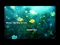 Download Lagu Hadad Alwi - Doaku (lyrics)