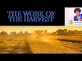 What Makes Up the Work of the Harvest of God by Anita L Helm
