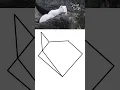 DRAWING A GEOMETRIC FOX EASY