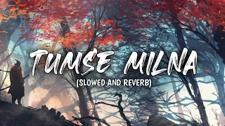 Download Tumse Milna (Slowed and Reverb) SAR Music's MP3