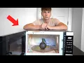Testing Insane Microwave Experiments