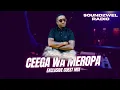Download Lagu SoundzWel Radio Guest Mix by Ceega Wa Meropa