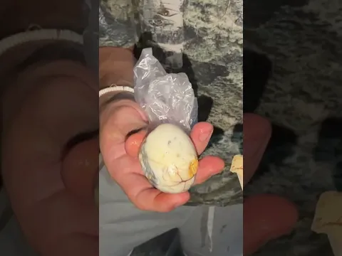 I TRIED BALUT #shorts