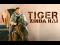 Lagu Tiger Zinda Hai 2 soundtrack : Julius Packiam