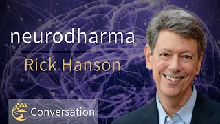 The Neural Correlates of Jhāna & Three Ways to Engage the Unconditioned | Rick Hanson Q&A