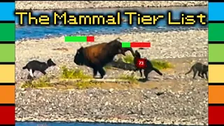 The Mammal Tier List