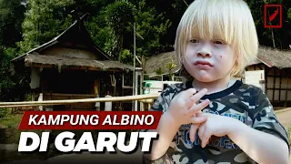 Download Kampung Albino Garut Jawa Barat || Sering Dianggap Aneh dan Terasing, Bahkan Mendapat Diskriminasi MP3