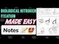Biological Nitrogen Fixation Notes made easy