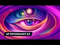 Neurotransmitters AP Psychology Unit 2 5