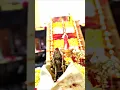 Lagu Saranam Ayyappa #ayyappa #ayyappan #ayyappaswamy #sabarimala #devotionalsongs #hindudeity