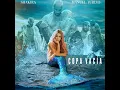 ◉Shakira X Manuel Turizo - Copa Vacía (Versión Rápida)