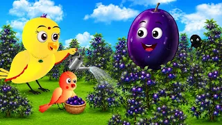 चिड़िया की जामुन Jamun की खेती|tony chidiya kahani achha achha ranu chidiya cartoonspicture