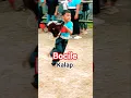 Download Lagu bocile ikut kalap #bantengan #shorts #jaranan #barongan #semuaorang #funny #viralvideo #dawangan