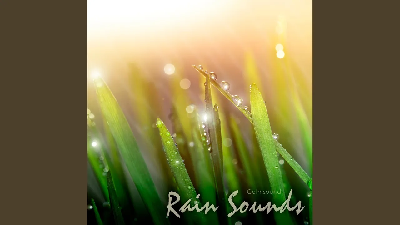 Thunder and Rain Thunder and Rain
