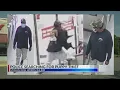 Thief escapes with puppy worth 5K from Memphis pet store