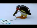 Download Lagu The Mountaineer! 🐧 | Pingu - Official Channel | Cartoons For Kids
