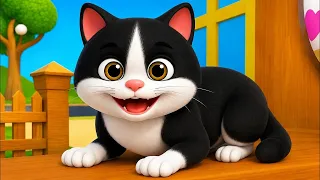 Meow Meow Billi Karti Meow | म्याऊ म्याऊ | Hindi Rhymes For Kids Nursery Rhymes - Riya Rhymes