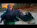 Lagu Trapping Fisher in the North Maine Woods