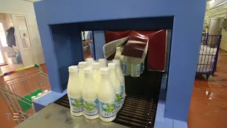 vyazma milk processing plant