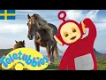 Download Lagu ☆ Teletubbies Svenska ☆ Säsong 3, Episod 74 ☆ Visar för barn ☆