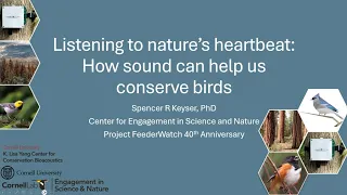Listening to nature’s heartbeat: How sound can help us conserve birds