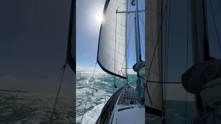 Time to go sailing? #shorts