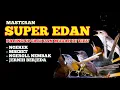 Download Lagu Masteran Burung SUPER EDAN 🔥 Ngekek, Mbeset, Ngeroll Nembak – Paling Dicari \u0026 Gampang Ditiru!