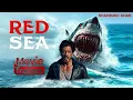 Download Lagu Red Sea - Official Trailer | Shahrukh Khan | Prakash Raj | Deepika Padukone | New Movie Trailer 2025