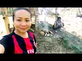 Download Lagu Mini kebun Tokituk || vs tanak mororobuat by lorina ingging || cover by Tokituk