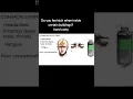 Download Lagu https://youtu.be/9rjoBb8Exis?si=wsH3xpjWPzWvdSWt #construction #health