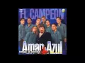 AMAR AZUL / NO TE VOY A PERDONAR