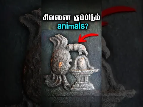 மிருகங்களும் சிவனுக்கு அடிமை?🔱