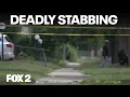 Detroit teen fatally stabs man in his 20s