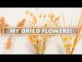 Download Lagu My Dried Flower Collection (FALL / DECOR TRENDS 2018)