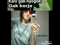 Download Lagu Ipank sakit ini by min