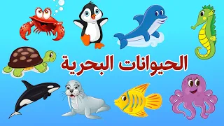 الحيوانات البحرية للاطفال Marine Animals For Kids أصوات الحيوانات البحرية 