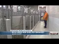 New Lenoir County SPCA shelter manager talks to WITN