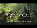 Download Lagu Wolves' Call - Inner Peace Melodies | Native American Flute Music