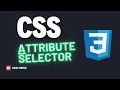 Attribute selectors in CSS