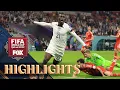 United States vs Wales Highlights 2022 FIFA World Cup