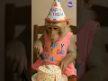 Download Lagu Monkey’s Birthday Party | Cake Cutting Time 🎂🐒 #monkey #ai #funnyanimals