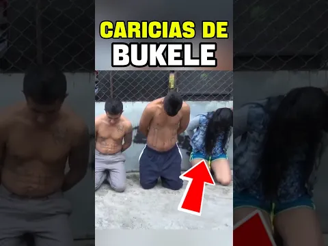 🚨😯¡Caricias de Bukele a mareros!😯🚨