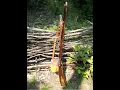 How lethal is a 32 muzzleloader Roundball test with a 32 Pedersoli Kentucky Rifle Part II