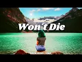 Download Lagu Slow remix - Won't Die | Martin vogard remix💃🌴