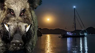 Ep70  |   Beasts in the Night!